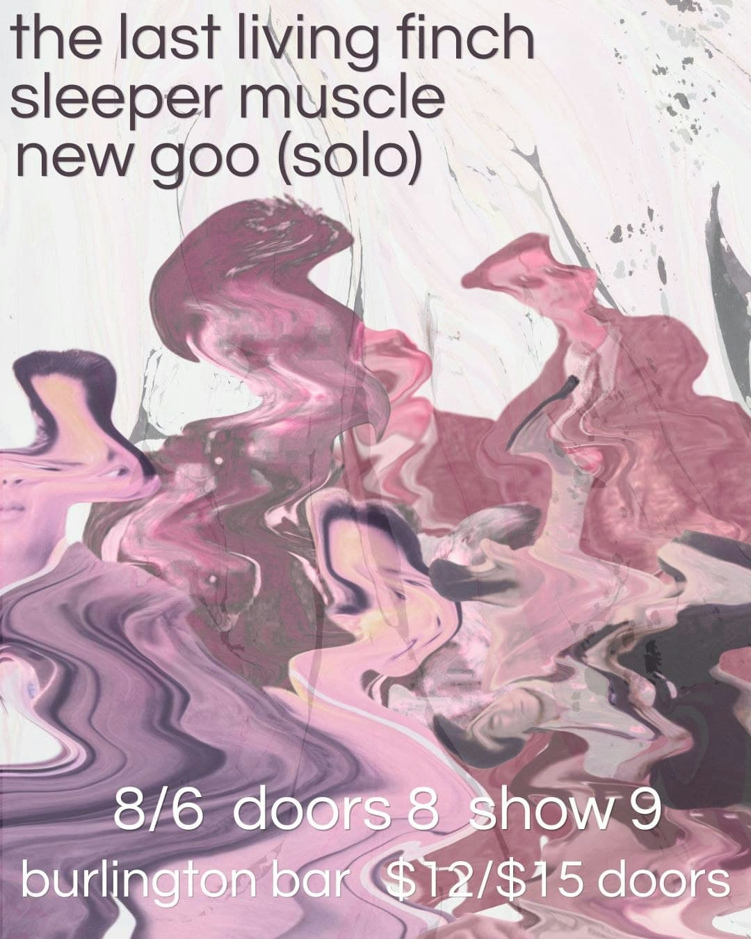 The Last Living Finch // Sleeper Muscle // New Goo (solo)