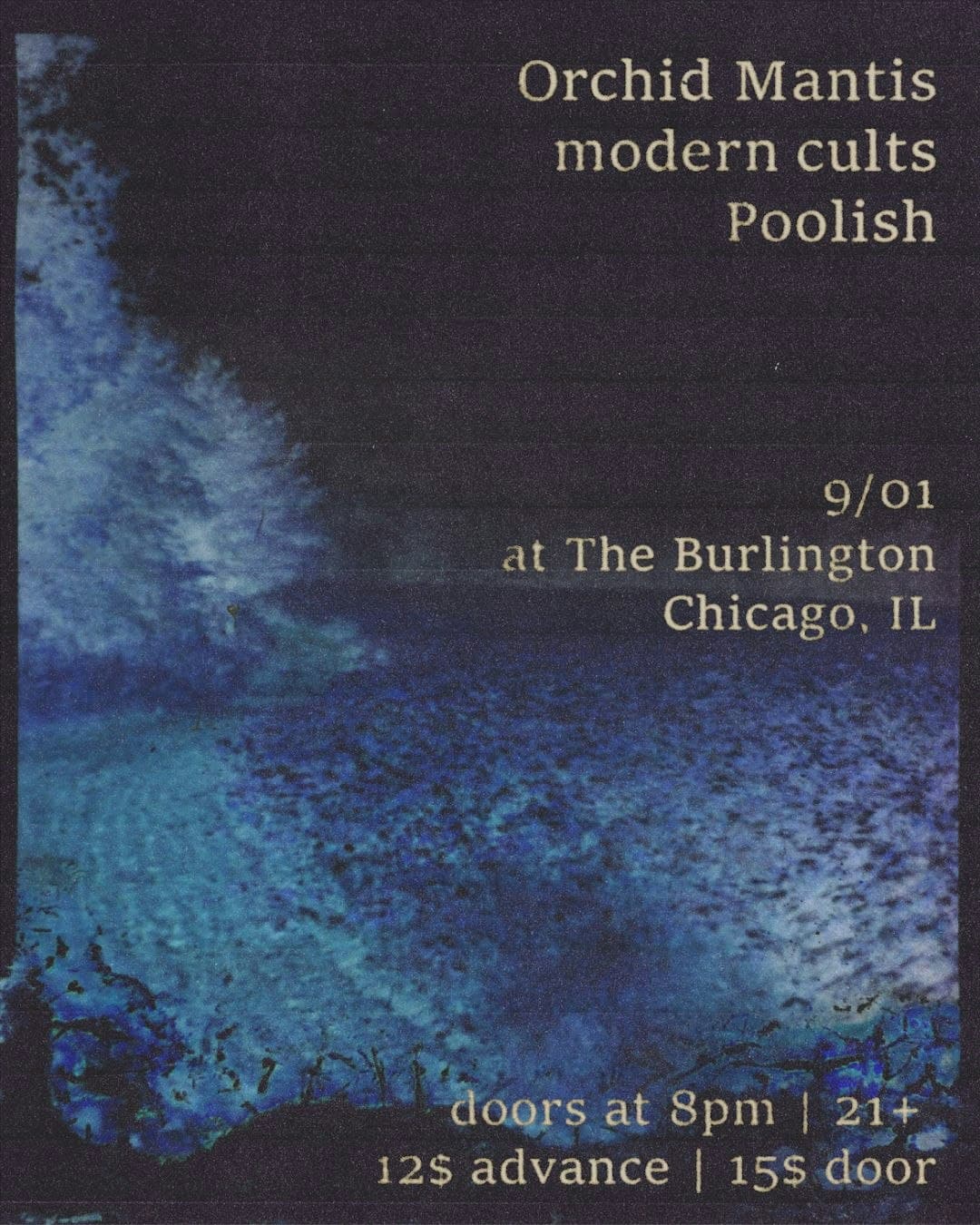 Orchid Mantis // modern cults // Poolish