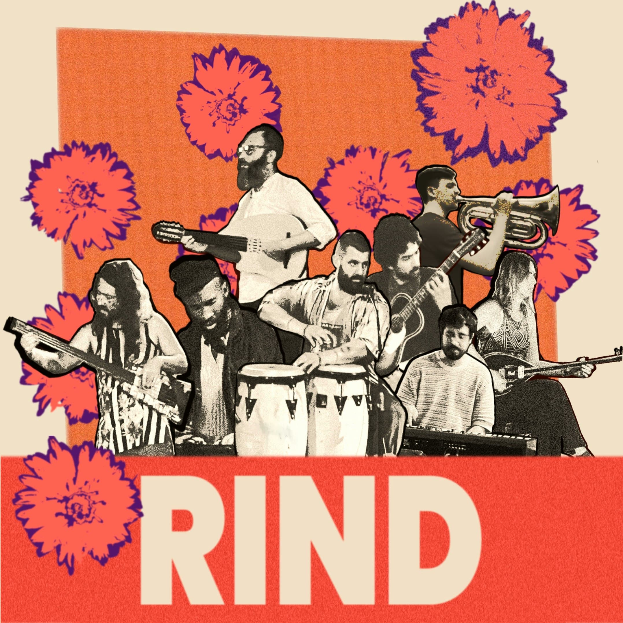 THE RIND