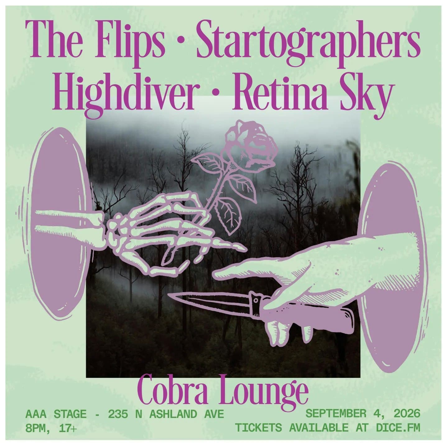 The Flips / Startographers / Highdiver / Retina Sky