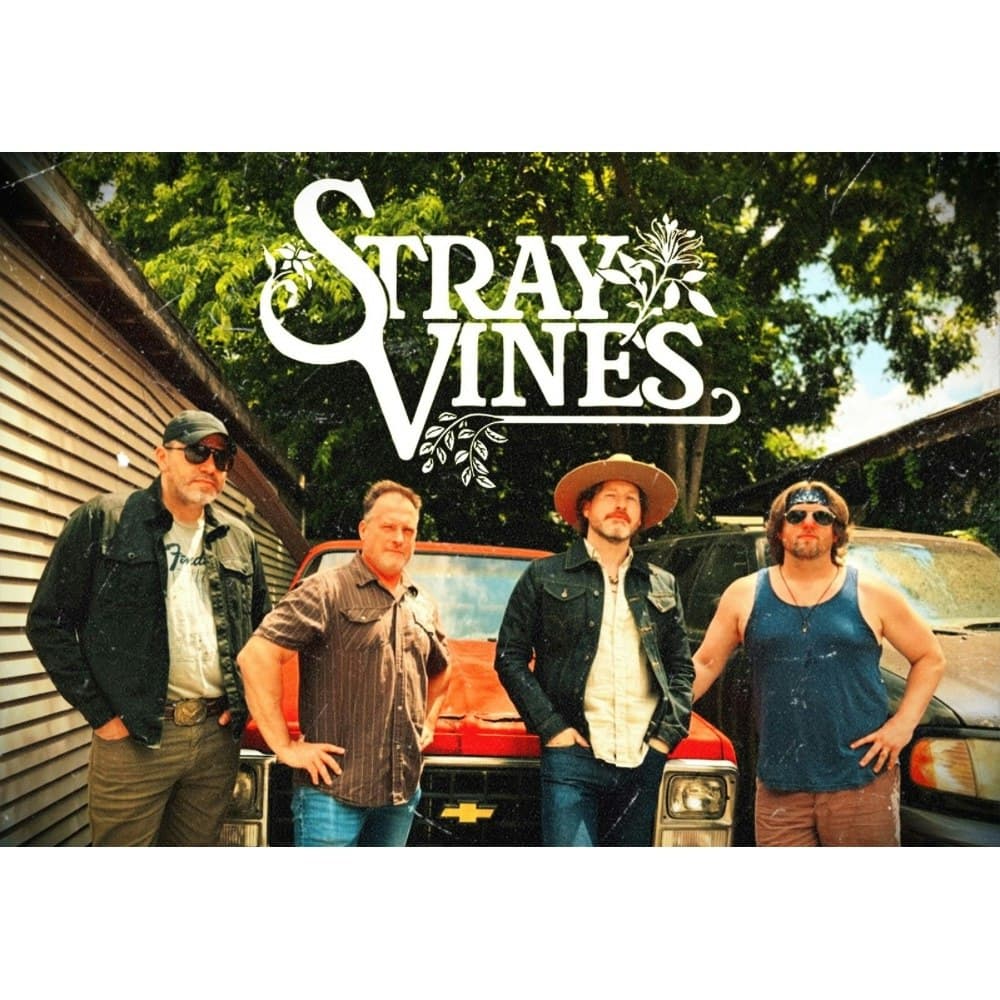 Stray Vines, The Transference, Kenny P Mitchell and the Last Chance @ Robert's Westside