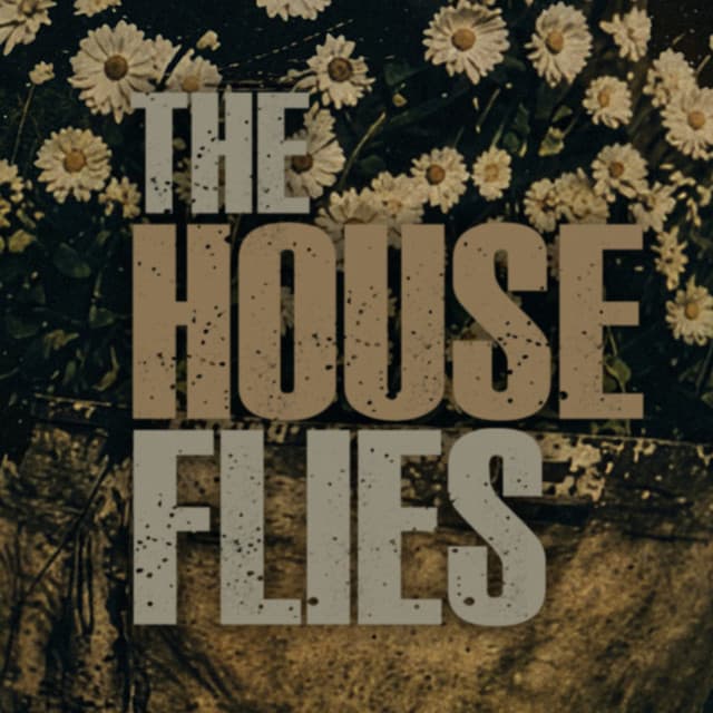 The House Flies