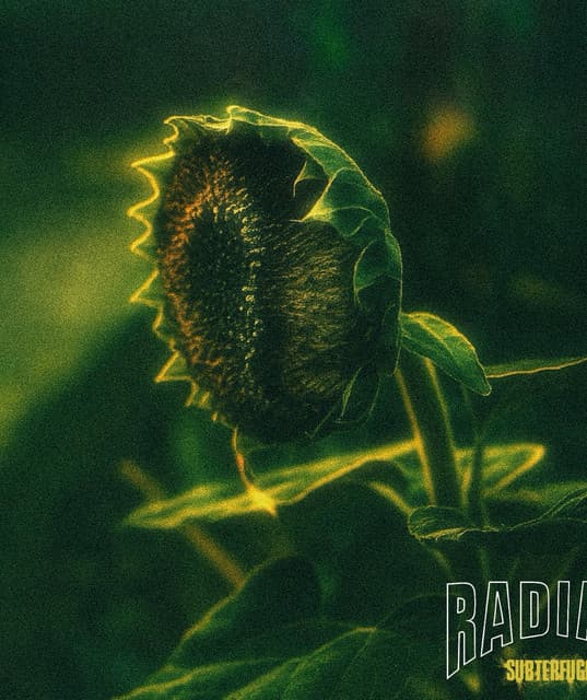 Radian