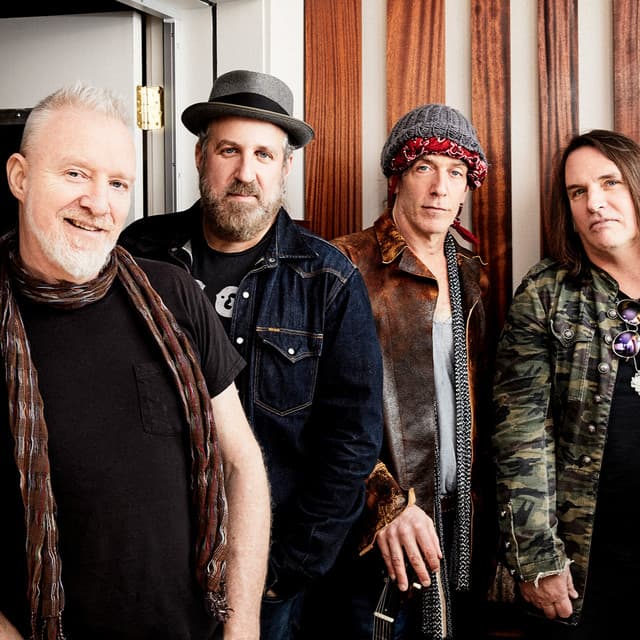 SPIN DOCTORS