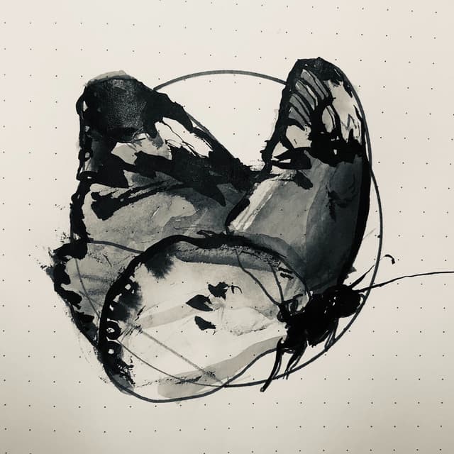 BTTRFLY QUINTET
