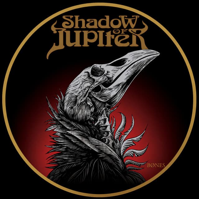 Shadow Of Jupiter