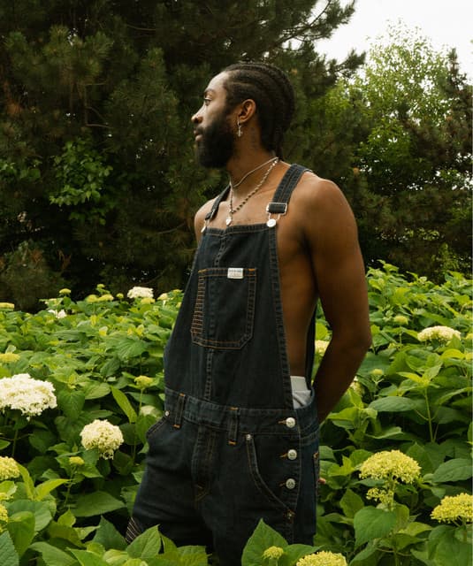 D'andre Adonis