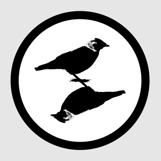 Turning Birds