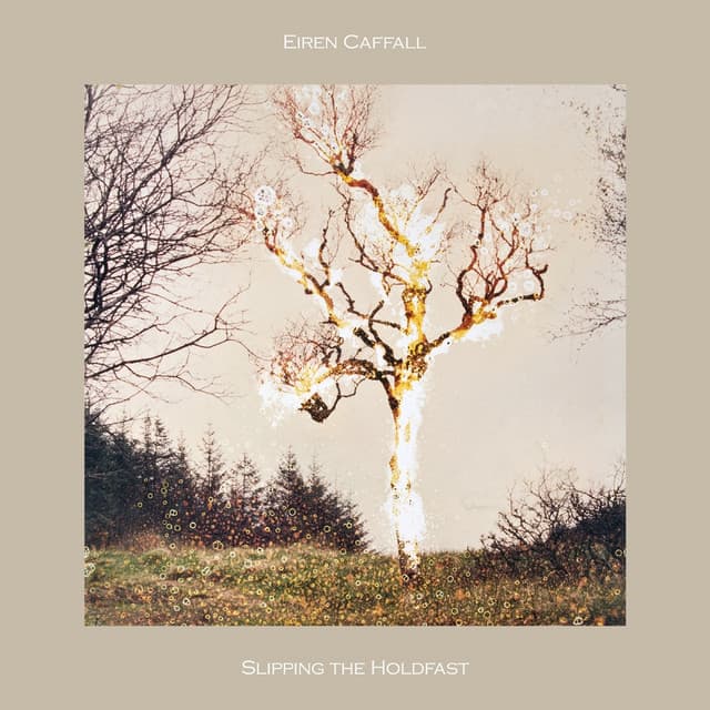 Eiren Caffall
