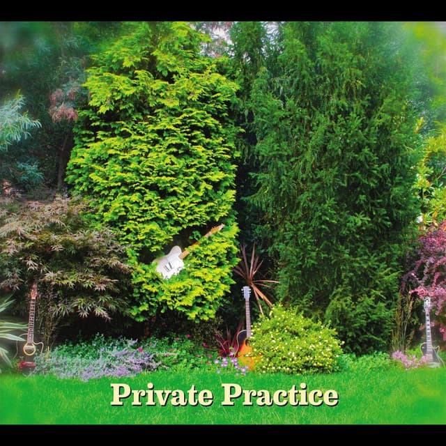 Private Practice