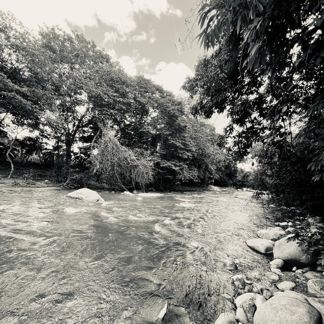 Quintero