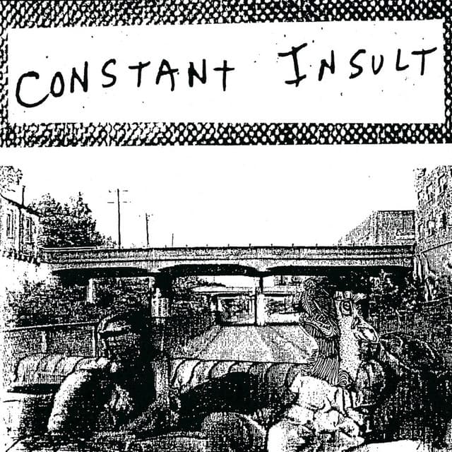 CONSTANT INSULT