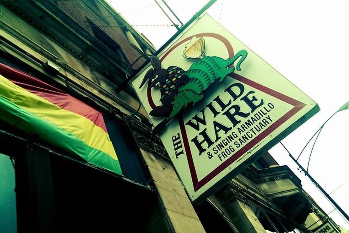 The Wild Hare