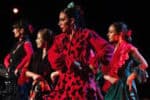 Casa Triana Flamenco